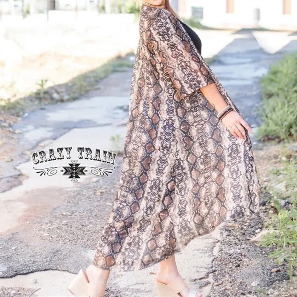 Crazy Train Python Duster